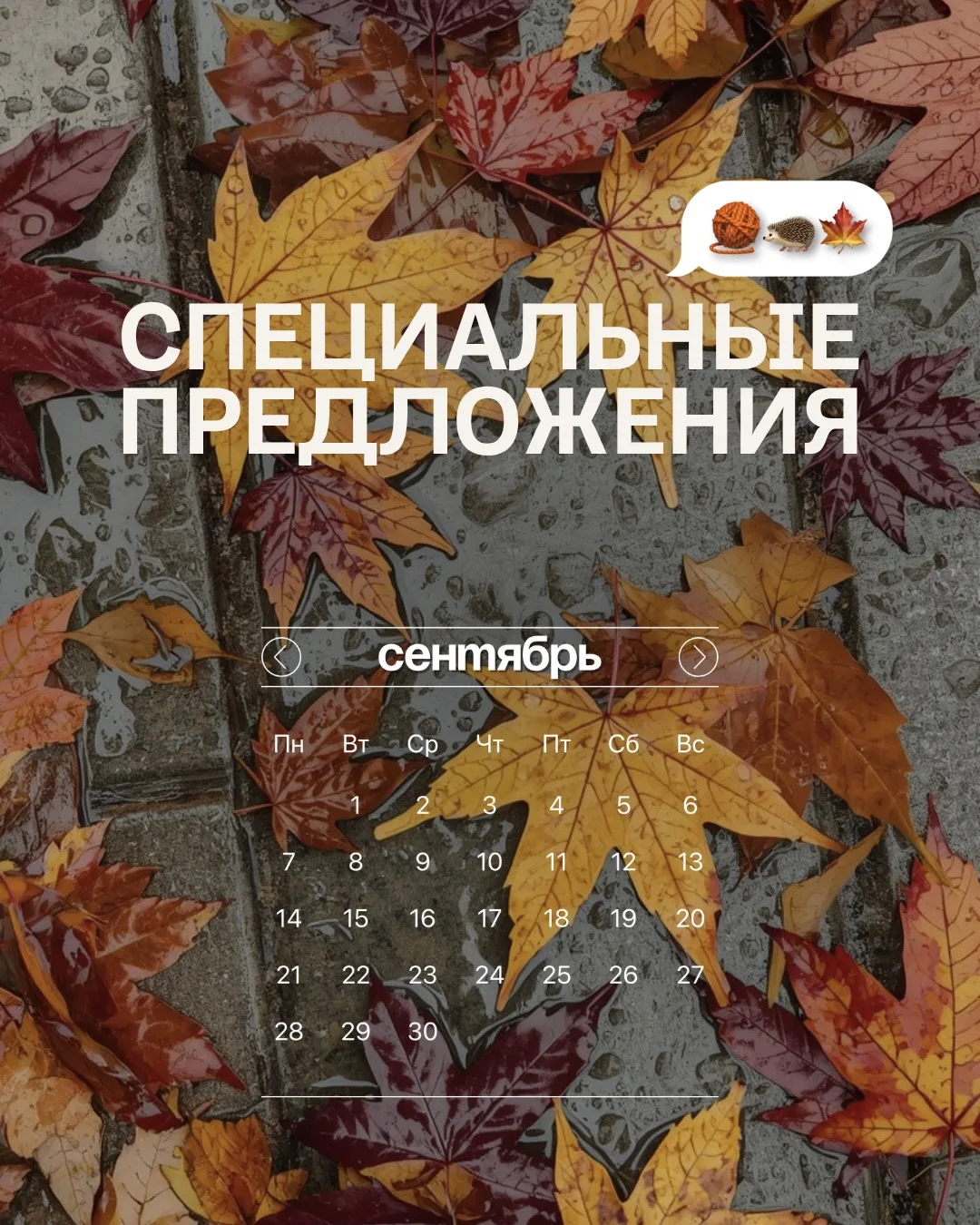 🍁 Сентябрь - время, когда кожа особенно нуждается в обновлении и восстановлении после ...