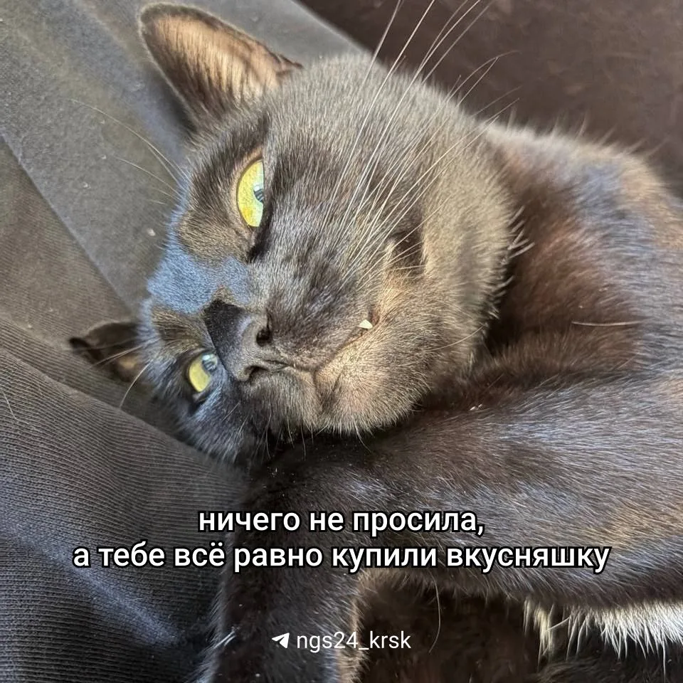 Чувствуете, чем пахнет? Мемами 😀