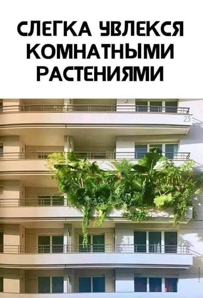 😂🌱