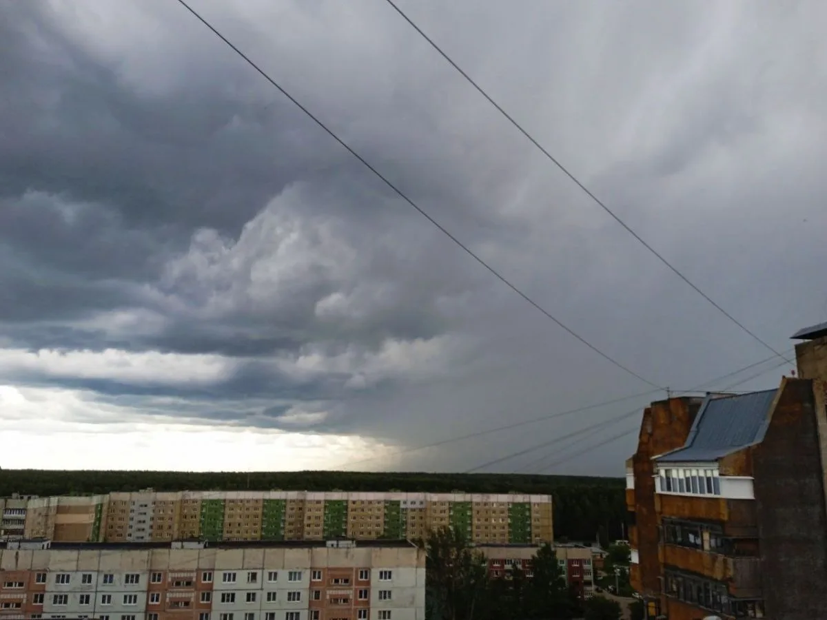 Жителей Ивановской области предупредили о грозах и сильных порывах ветра
https://newsivanovo.ru/fn_1