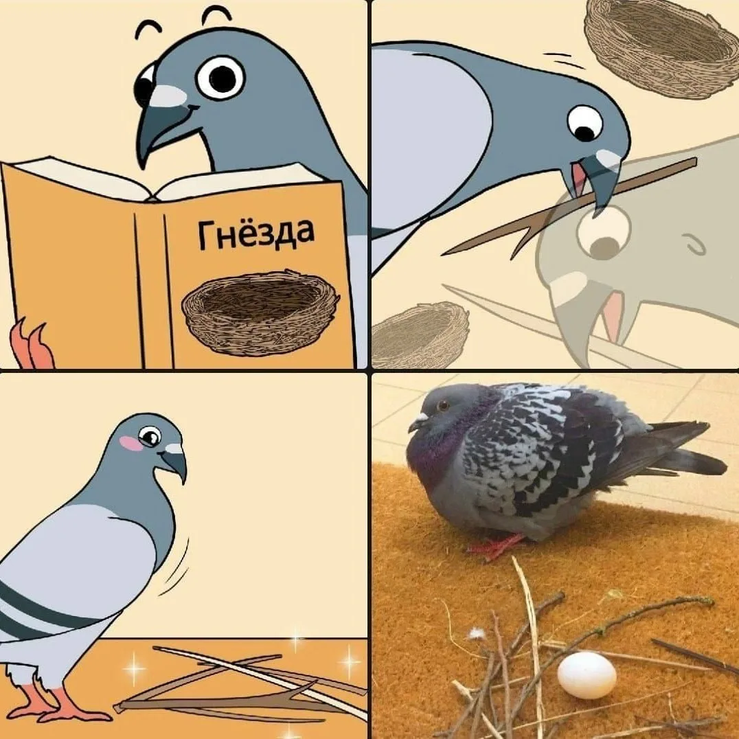 Фото