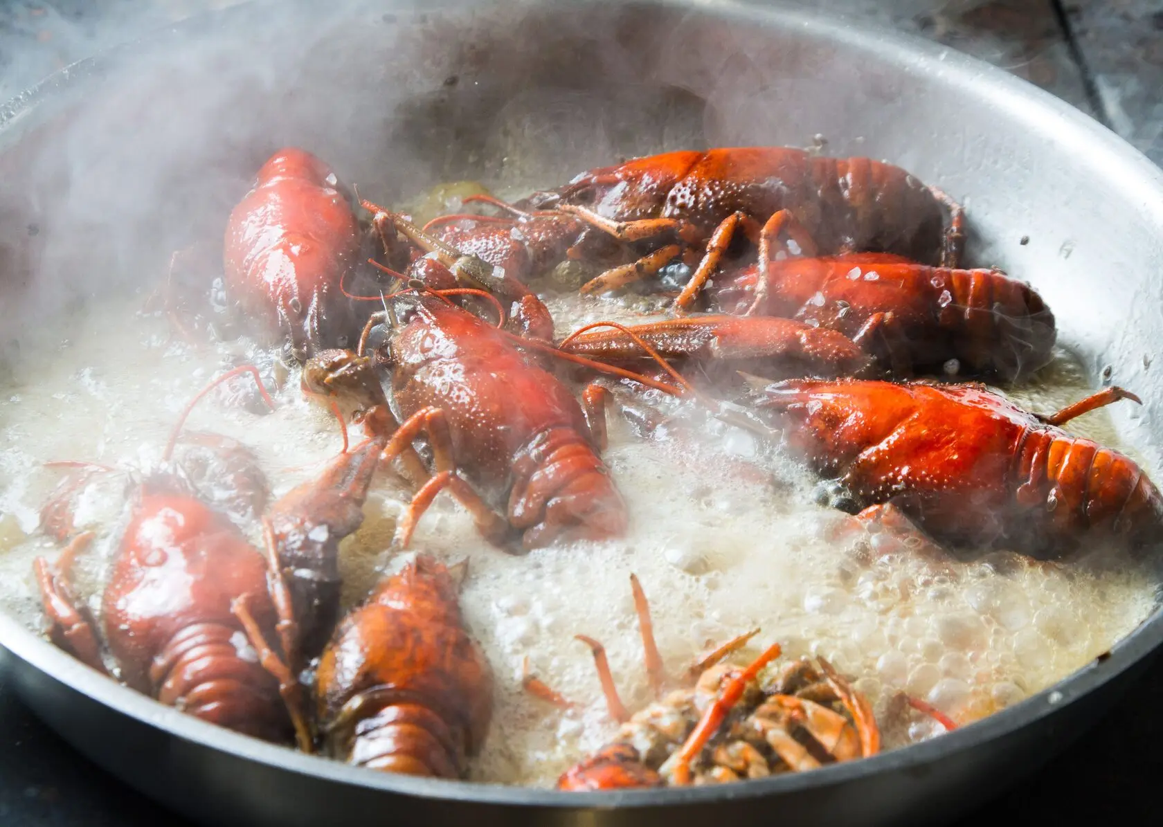 Египетские раки в наличии 🦞