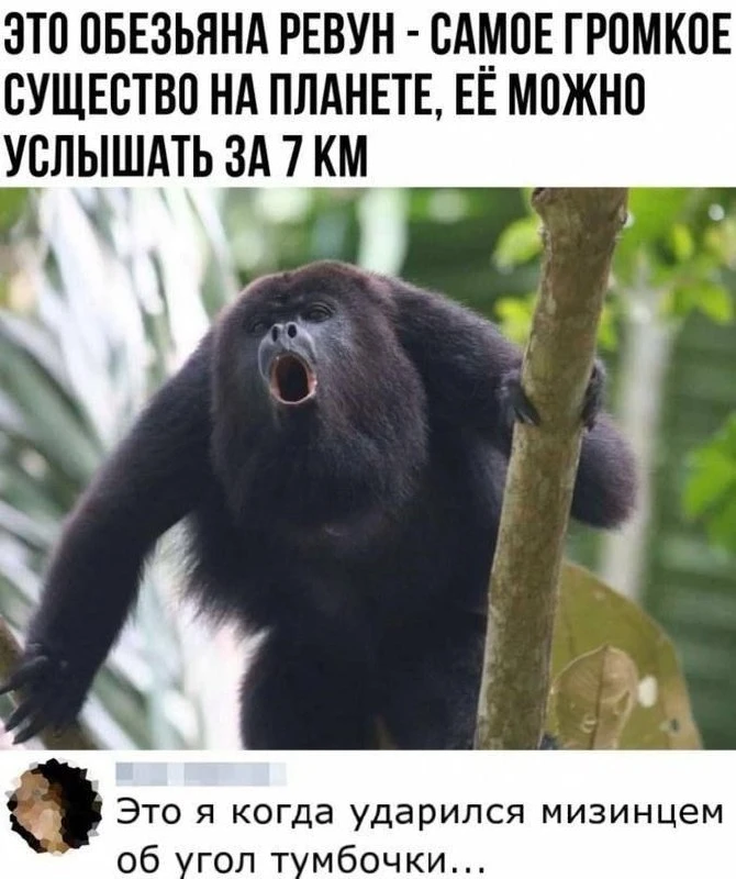 Один смех | в MAX