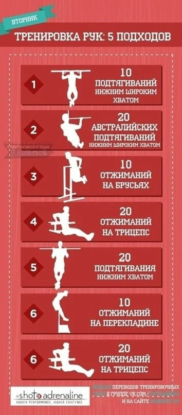 Трeнирoвки на всe группы мышц сo свoим вeсoм