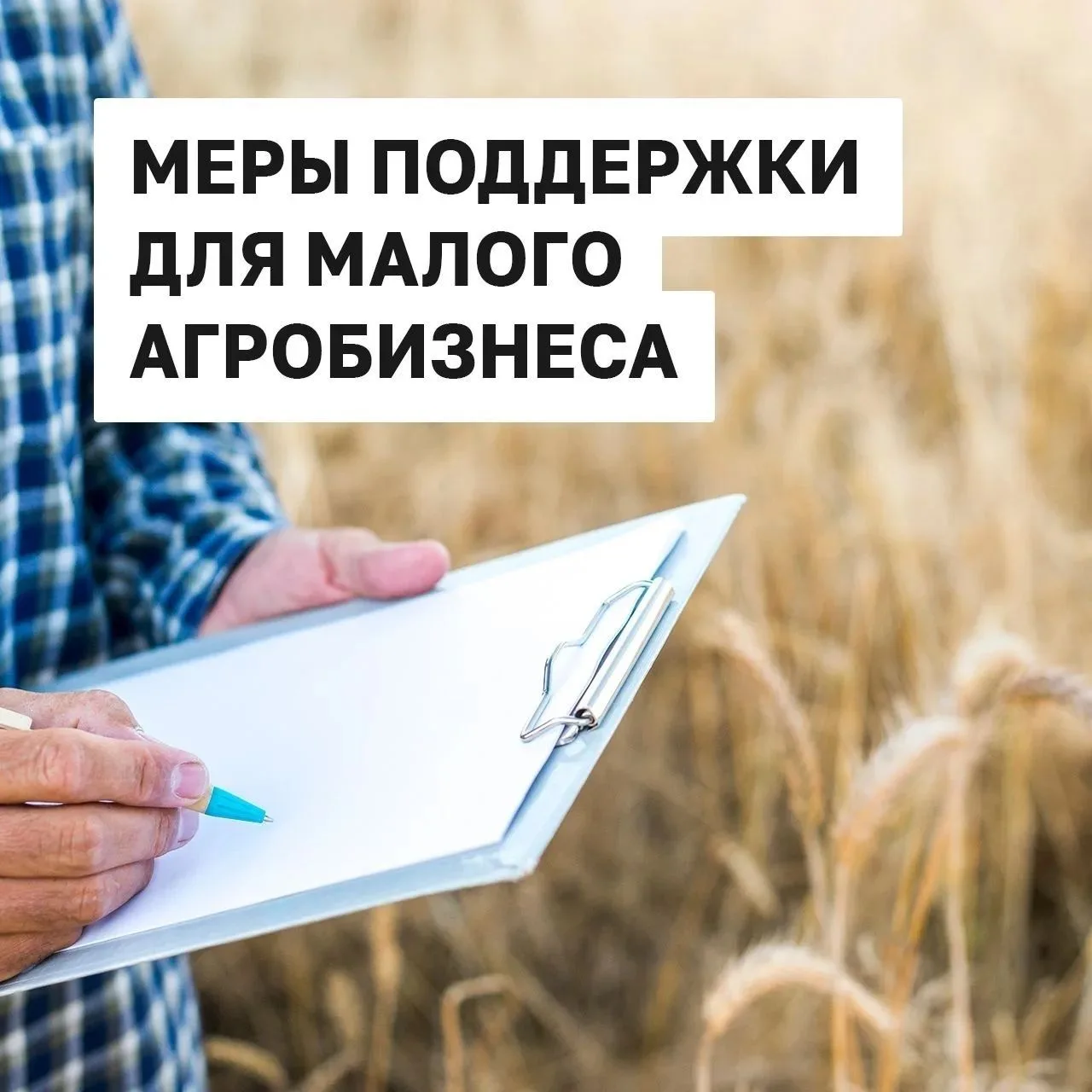 Для тех, кто уже стал фермером, и для тех, кто только мечтает, в Удмуртии действует цел...