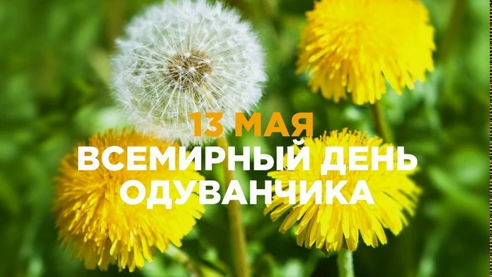 🌼 СОЛНЕЧНЫЙ ПРАЗДНИК В НАШЕМ КАЛЕНДАРЕ: День одуванчиков