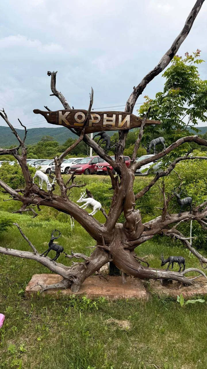 Первый день фестиваля «Корни. Близкий Дальний» — это вау! 🔥

На Дальнем Востоке живут невероятно та