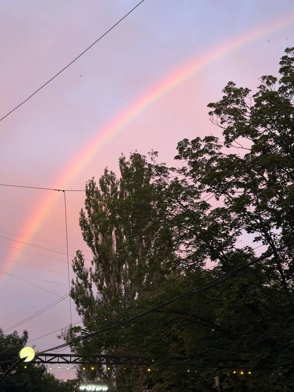 Красота на Зеленом в Макеевке 😍