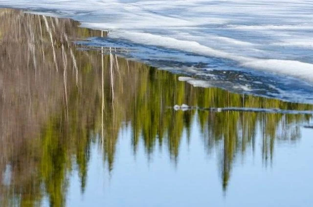 🌿 На Севере приходит весна  Снег постепенно отступает, реки наполняются талой водой, просыпаются нас
