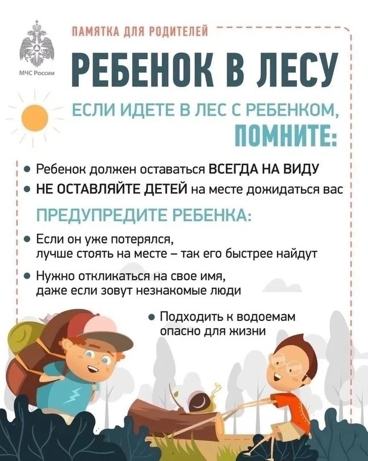 🧺Август — сезон грибов, ягод и прогулок по лесу. В это время многие отправляются на пр...