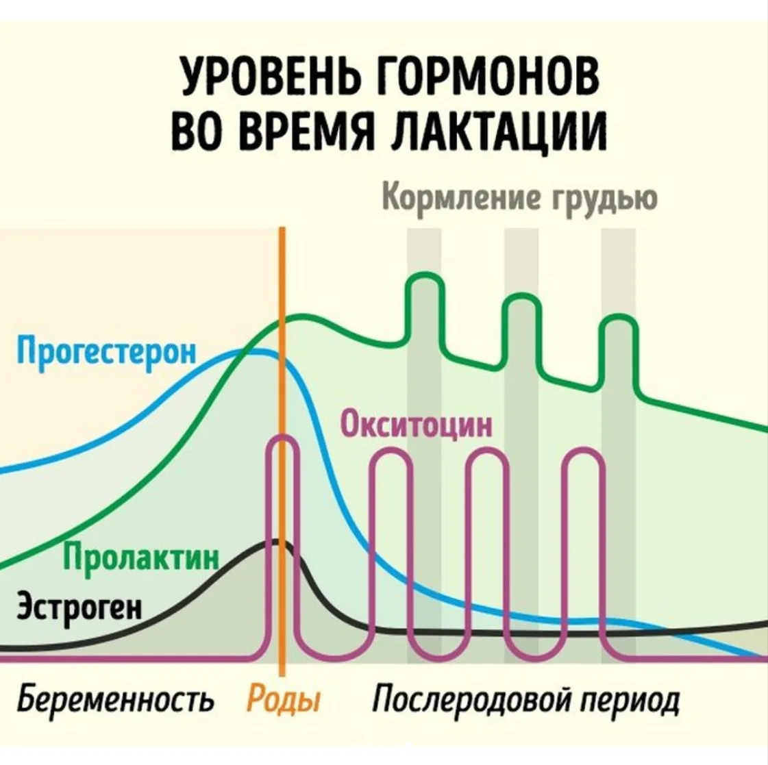 Снижение уровня гормонов беременности.