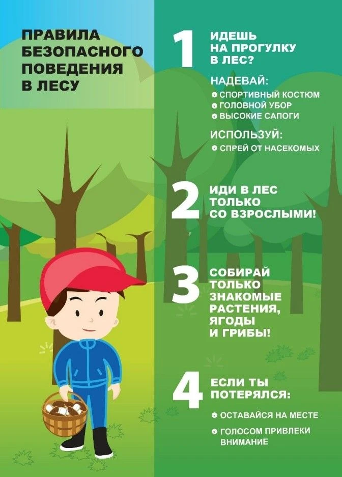 Правила поведения в лесу

 Лес, полный удивительных растений и животных, может таить в себе и опасно