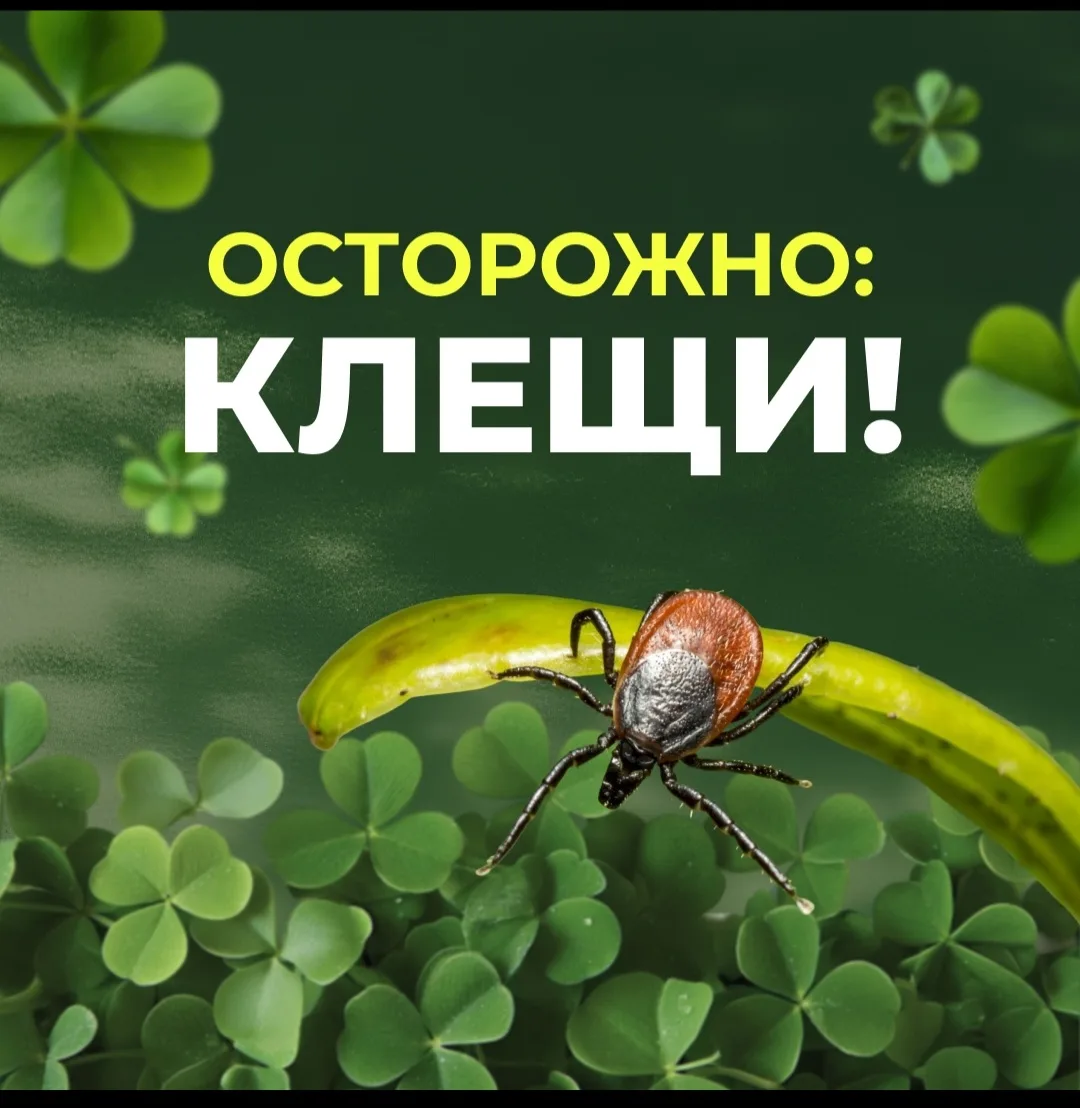 Совсем скоро начнутся летние каникулы — время прогулок, поездок, отдыха у бабушки и на ...