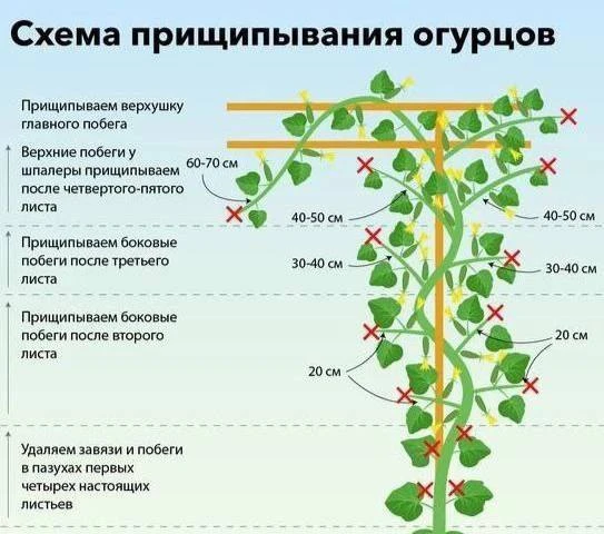 Берём на заметку!  🌻 Любимая дача - Подписаться!