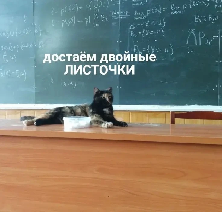 😭КАК ЖЕ НАДОЕЛИ ГЛУПЫЕ СОВЕТЫ УЧИТЕЛЕЙ!

Учеба без взрослых
 - канал, который не нравится учителям,