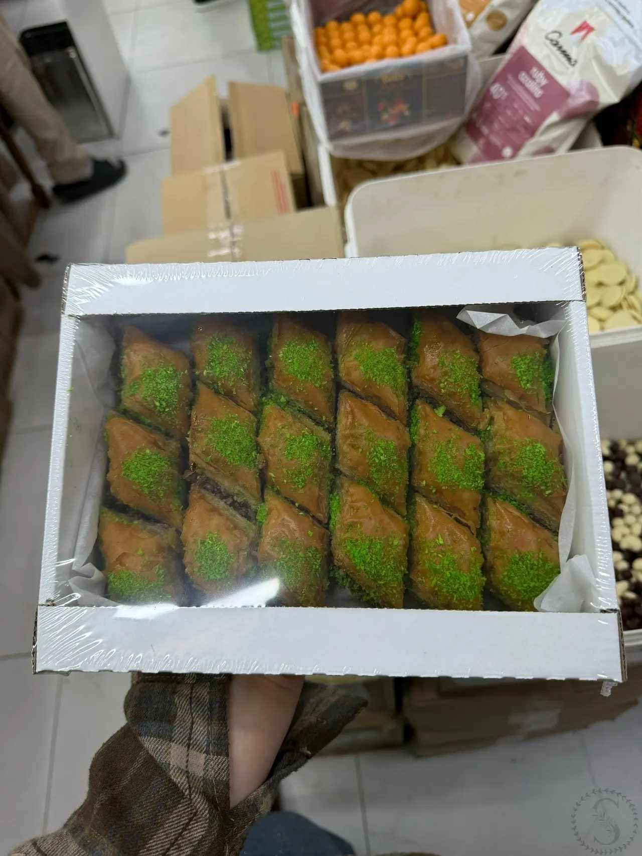 https://vk.com/photo-184814919_493597912