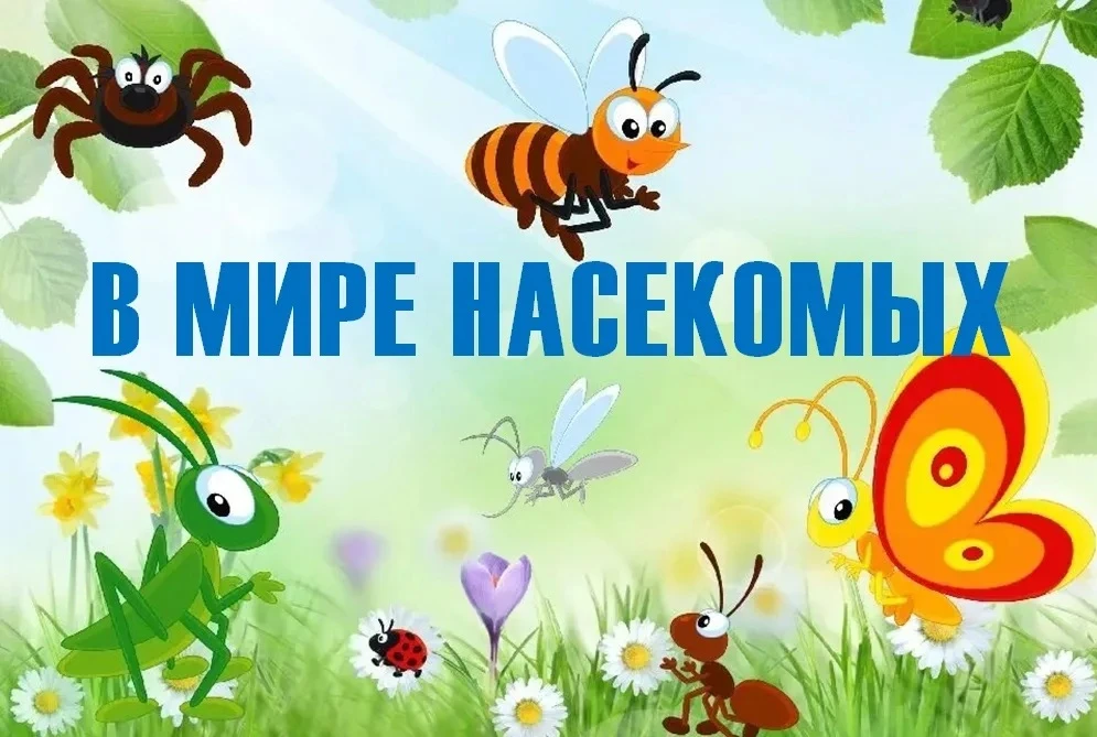 Рекомендации для родителей: «Мини-лаборатория на прогулке»  🦋 
  
Чтобы летние впечатления вашего р