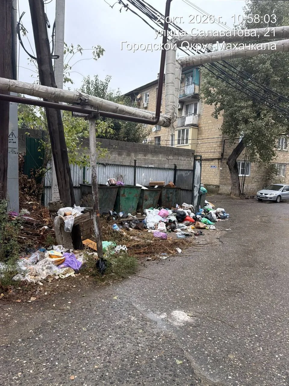 В Махачкале нашли задержки с вывозом мусора на десяти адресах