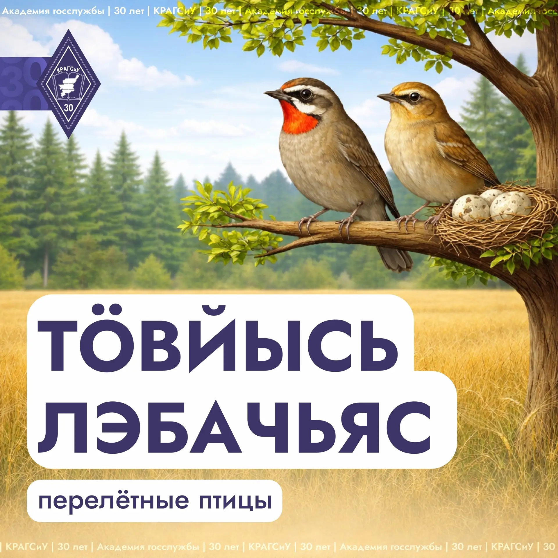 Весна уже в самом разгаре – солнечное и яркое настроение вокруг ☀    А давайте вспомним, какие птицы
