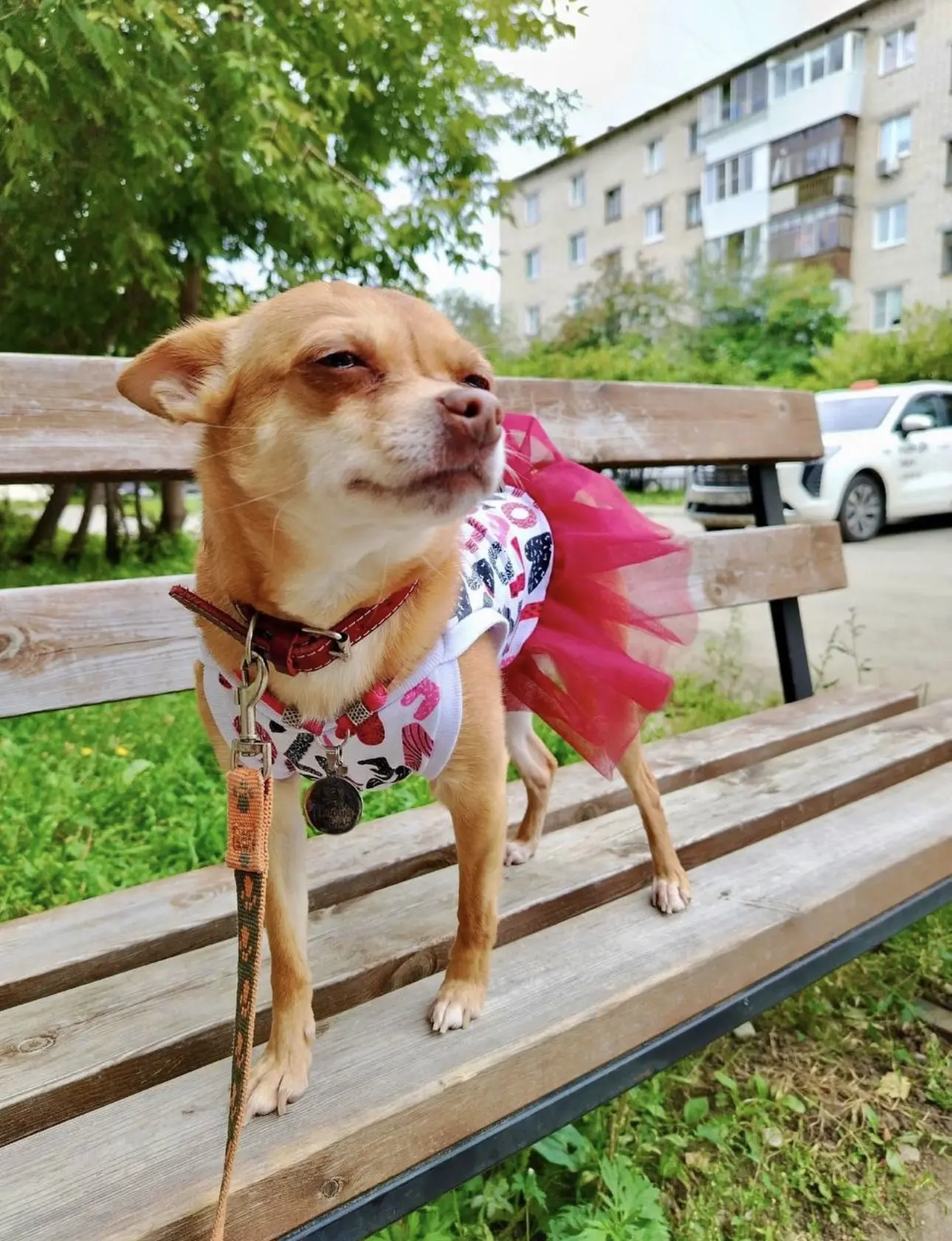 🐾😁🥰
Женщину понять можно.
Для этого надо ее полюбить.