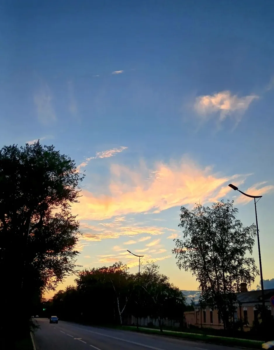 Улица Ленина 🌆
