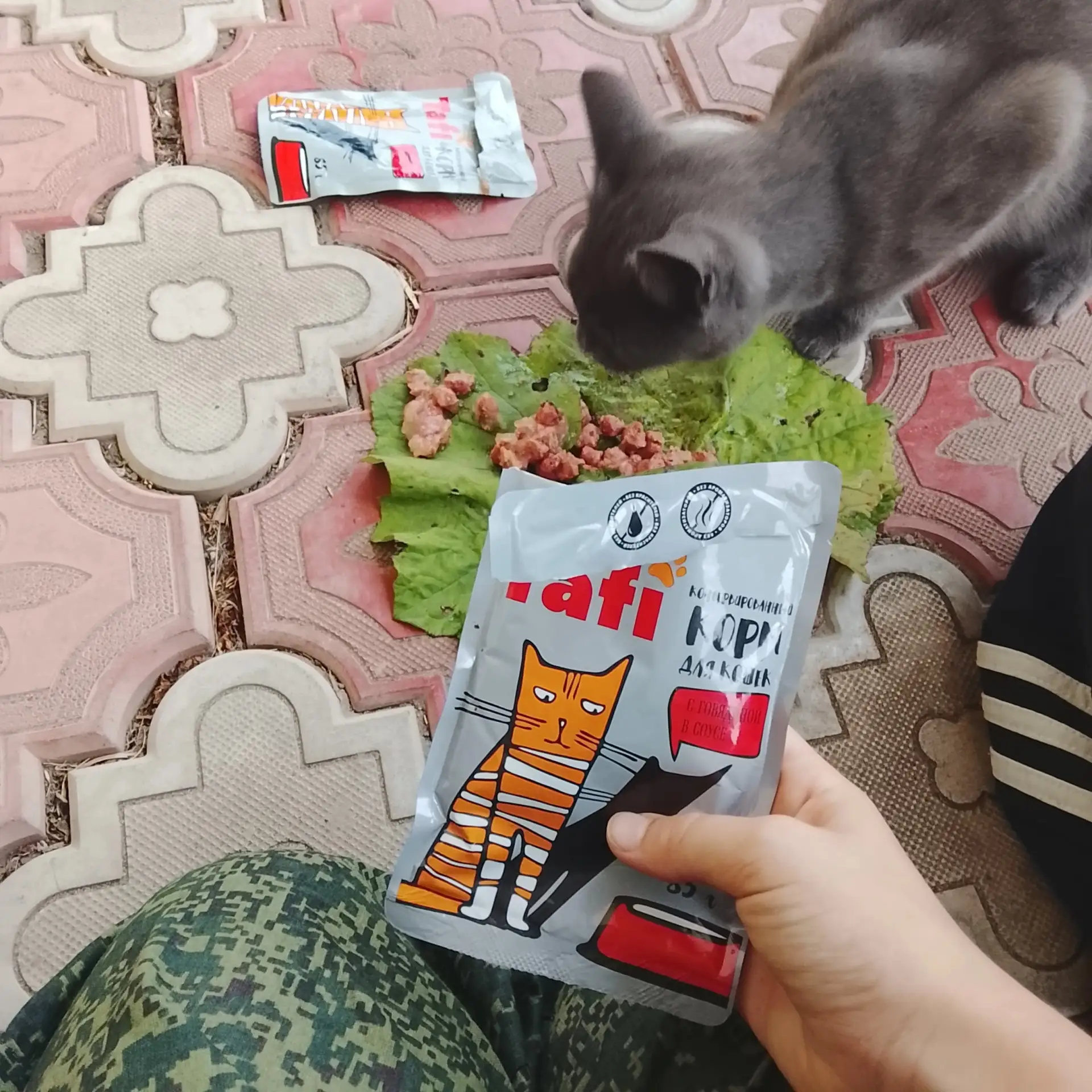 чей кот,мы его накормили,серый кот, очень худой ,жёлтые глаза,отзывается