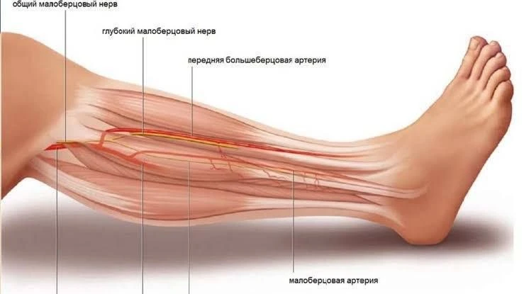 📆 Еженедельная авторская колонка; 

⚡️ Руководителя проекта "Курсы тактической медицины" с позывным