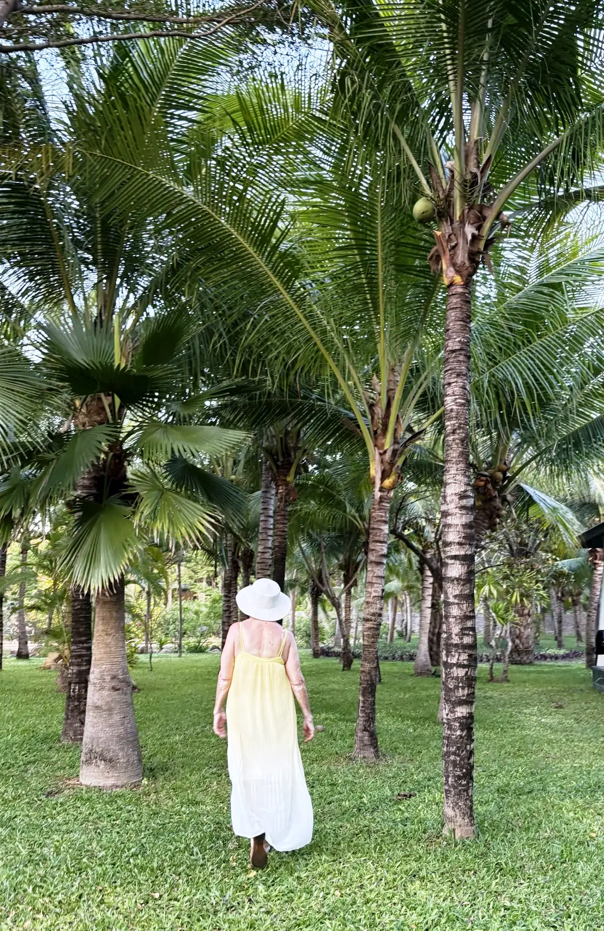🌴 Вьетнам зовёт!     ☀️ Сегодня получили тёплый привет от наших туристов, которые уже наслаждаются о
