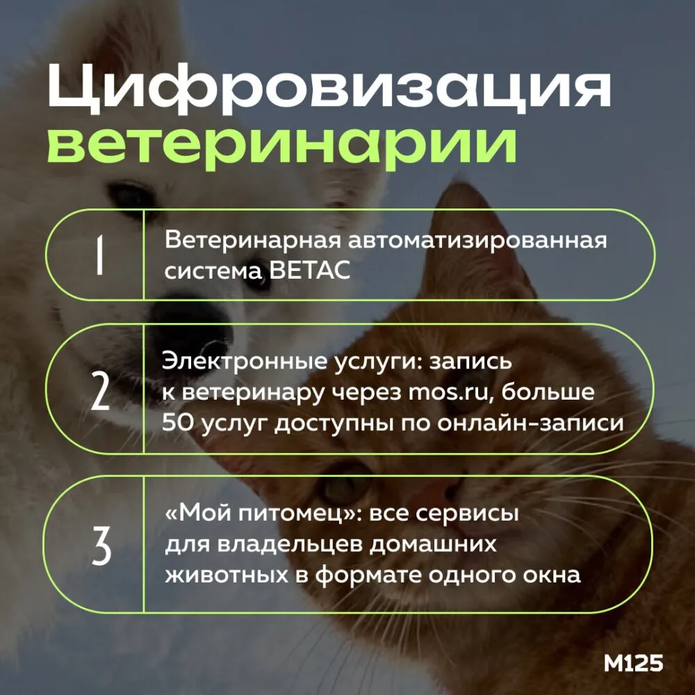 Москва продолжает развивать цифровые сервисы для владельцев домашних животных.