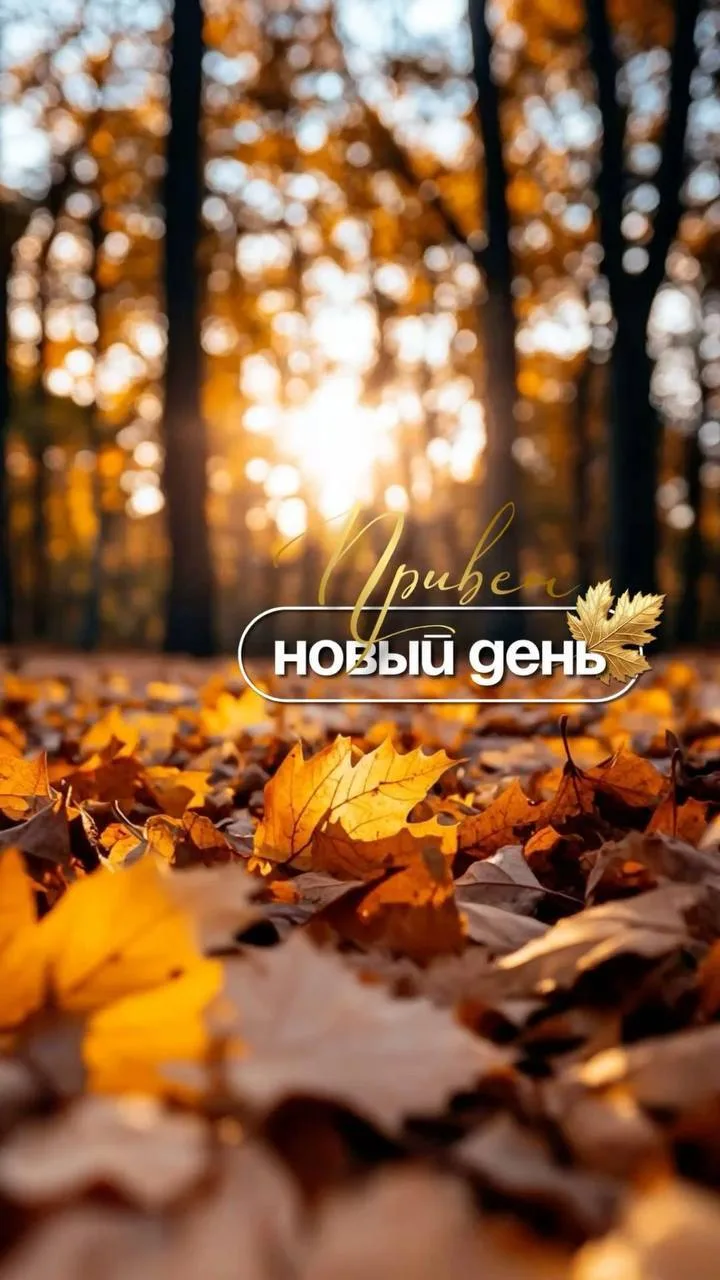 Друзья🫶