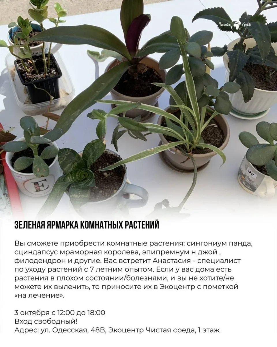 3 октября, суббота