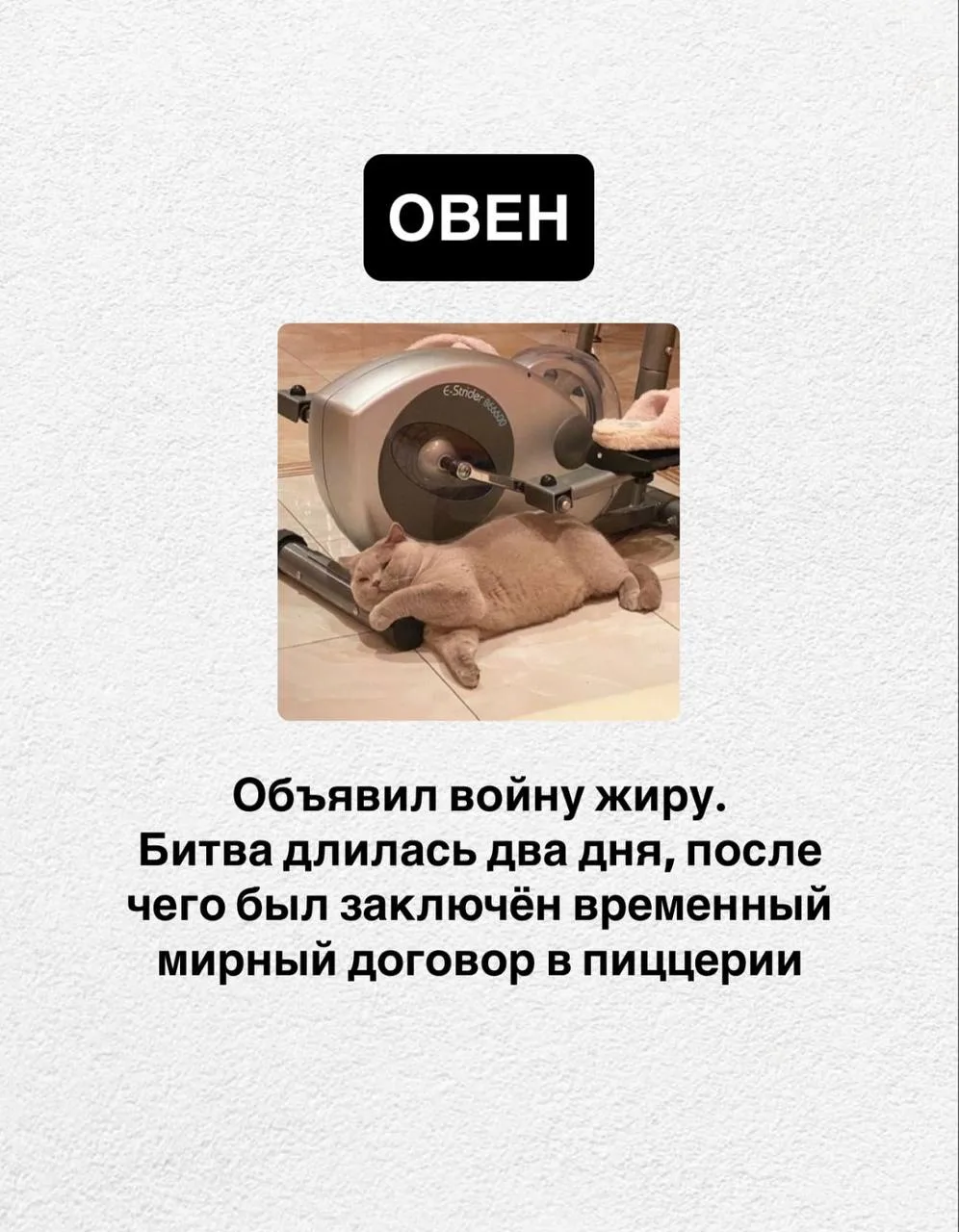 Как худеют знаки Зодиака 🍕 ч.1