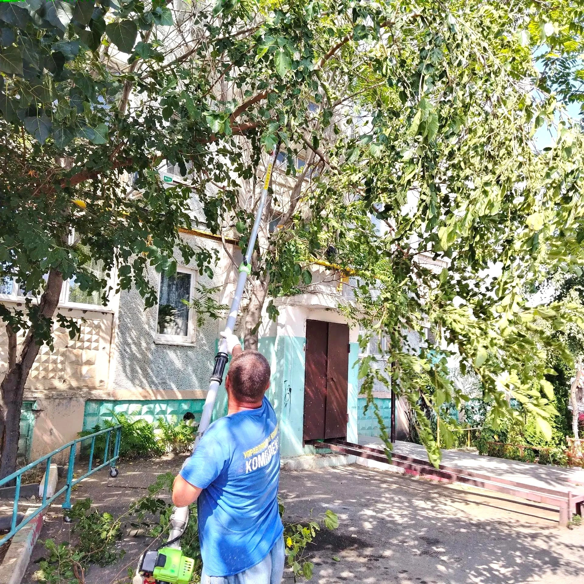 К новости «Никаких преград 🌳»