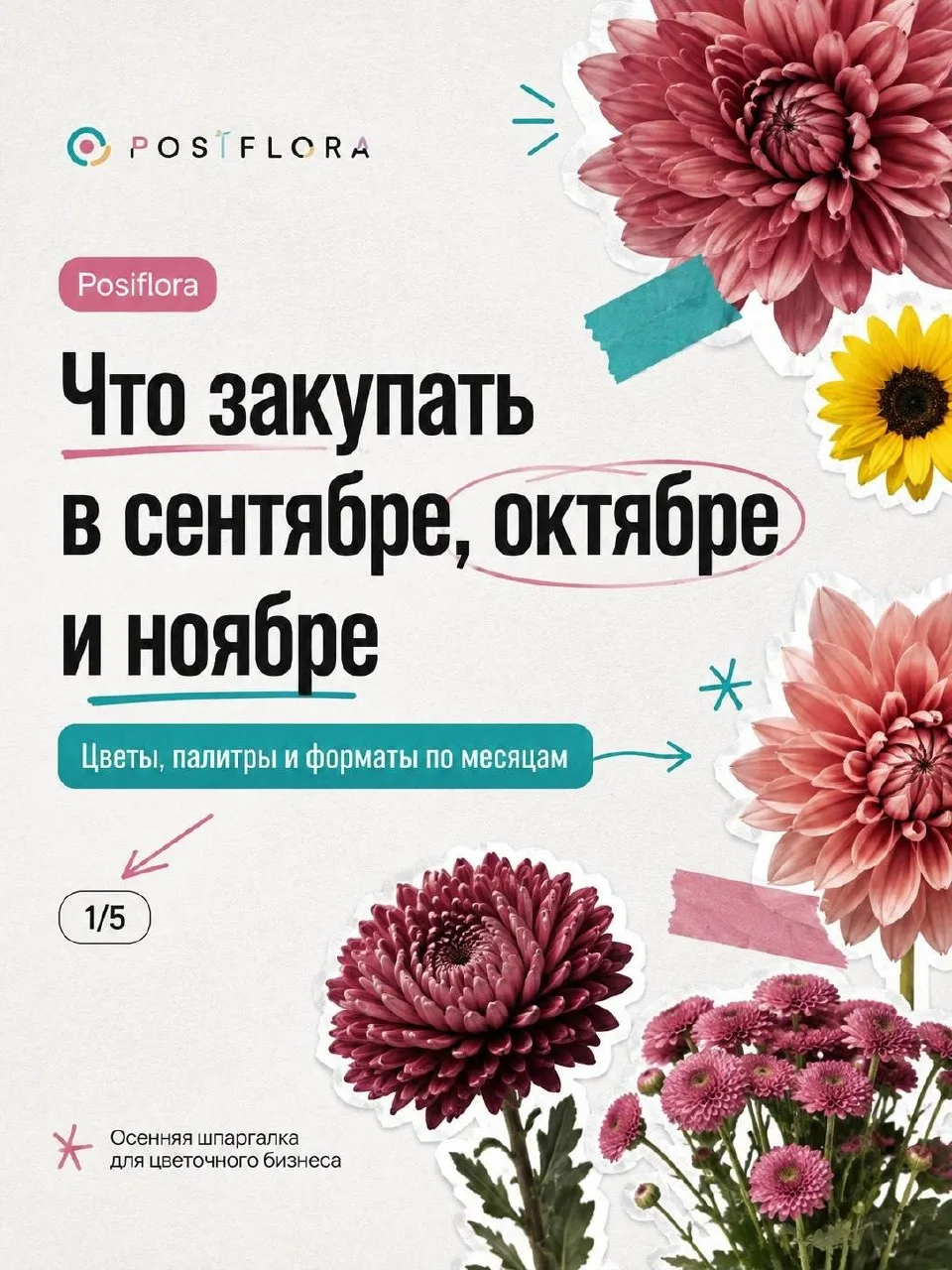 Что закупать в сентябре, октябре и ноябре? 🍂