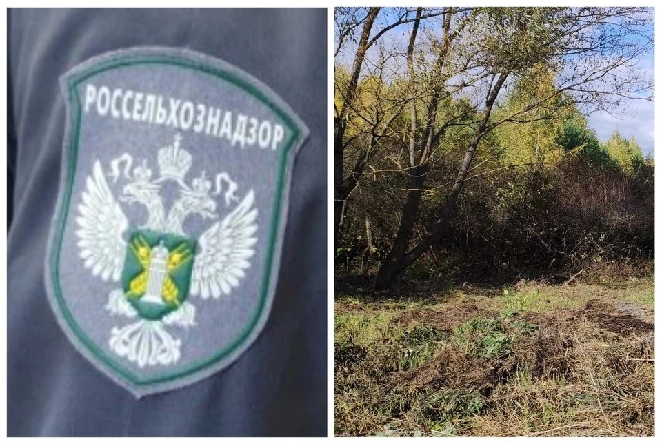 🌾 В Рязанской области стартует масштабный фитосанитарный мониторинг  С 2026 года Россельхознадзор на
