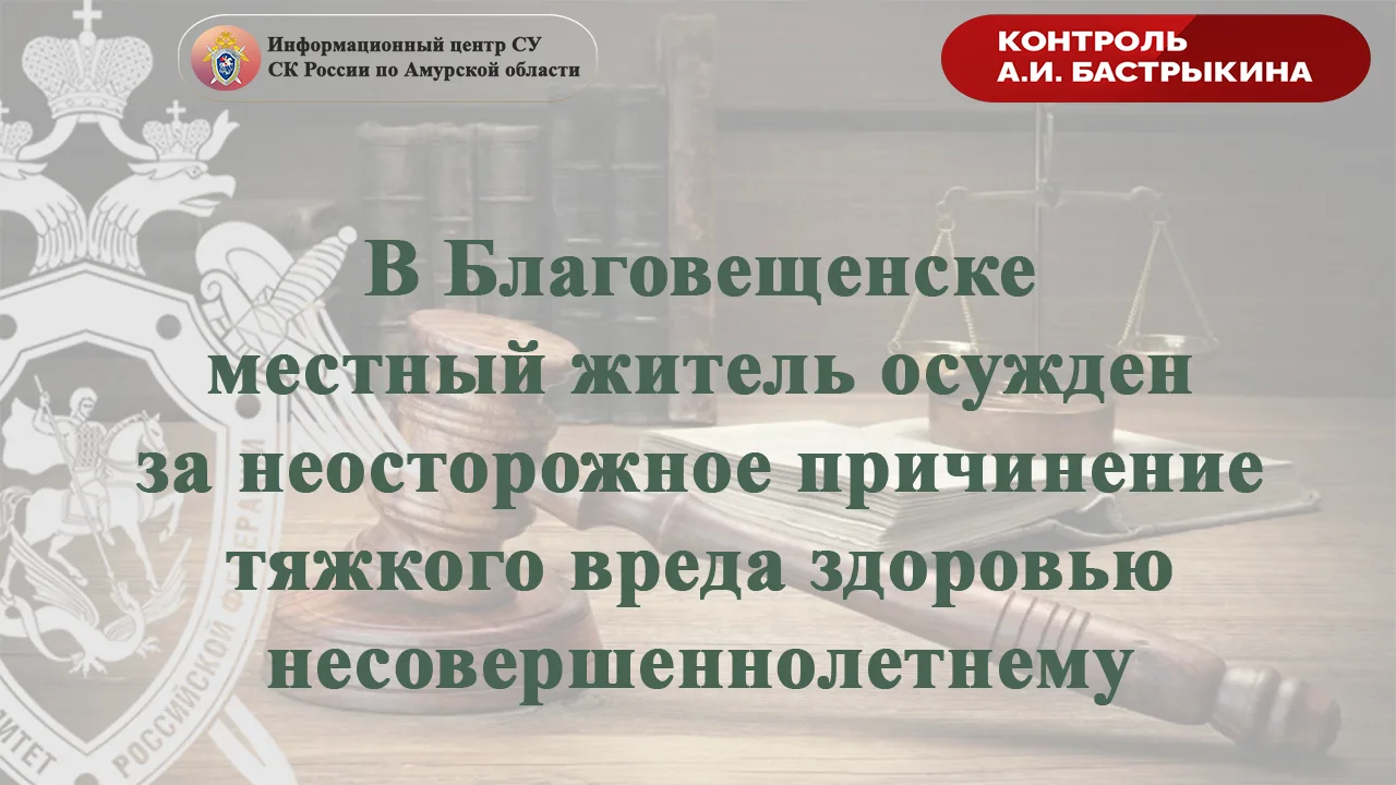 В Благовещенске местный житель осужден за неосторожное причинение тяжкого вреда здоровью несовершенн