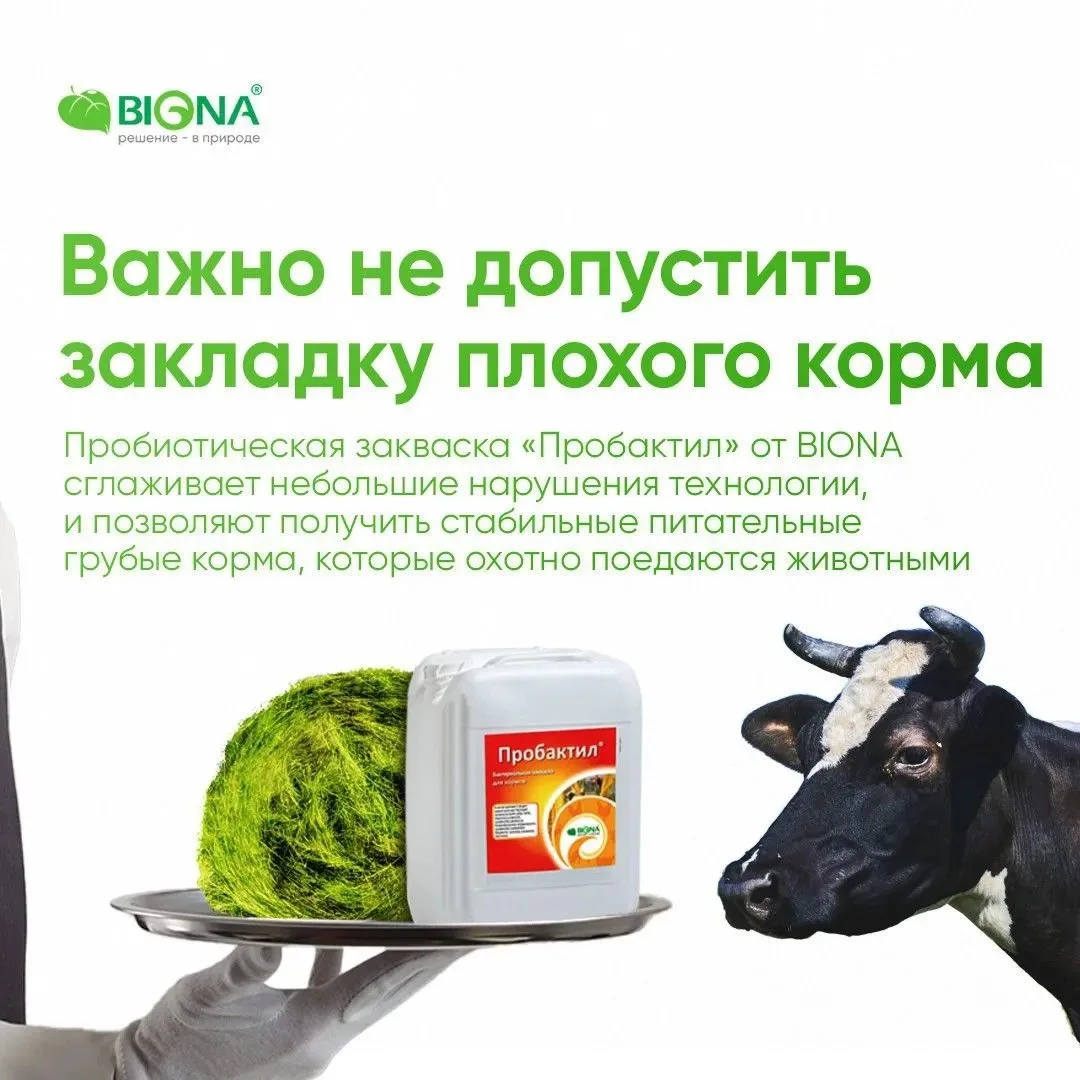 ⚡️Премьера!