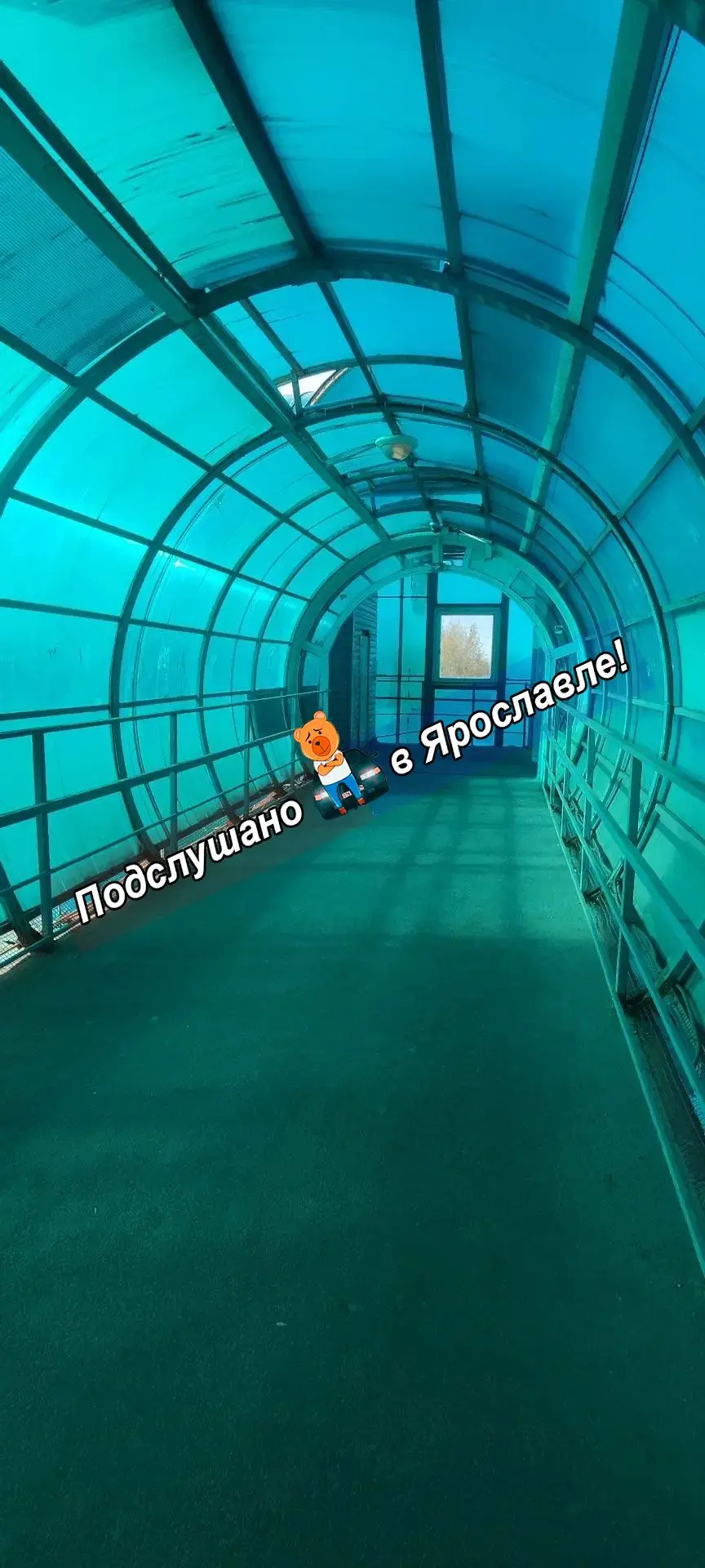 Искусно украшенные грязью надземные переходы на Московском проспекте столице Золотого к...
