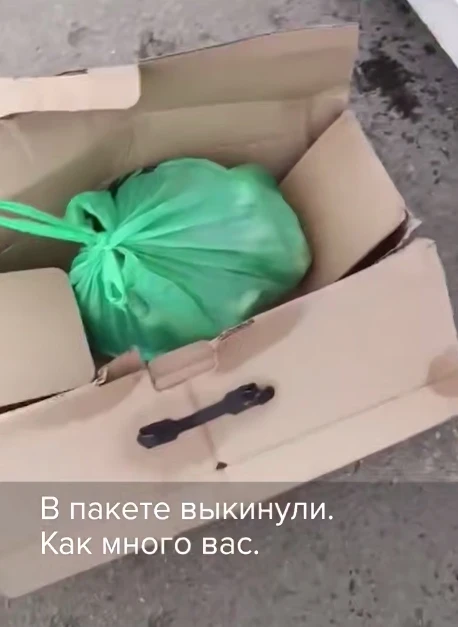 Щенков выбросили в мусорный бак в Серпухове: животных успели спасти  В Серпухове местная жительница 