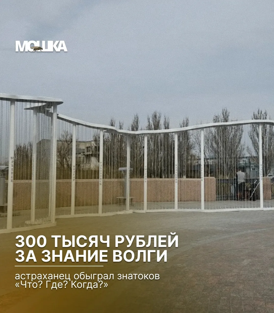 300 тысяч за знание Волги: астраханец обыграл знатоков «Что? Где? Когда?»

Житель Знаменска Алексей 