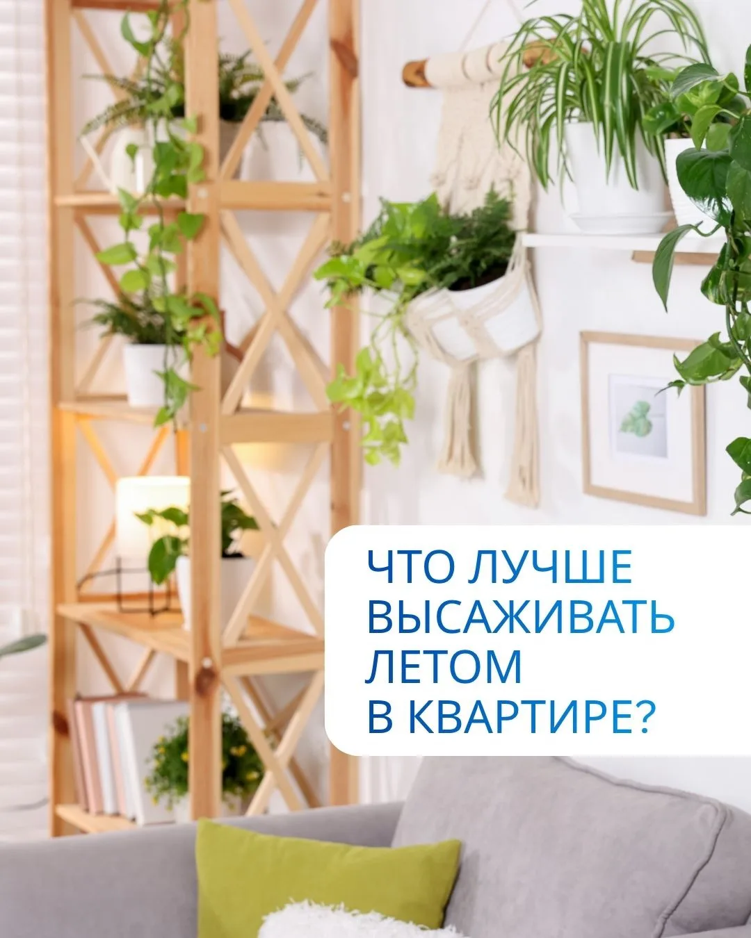 🫶🏻 Лето уже на пороге! Хочется больше свежести, зелени и уюта? Для этого совсем не обязательно вых