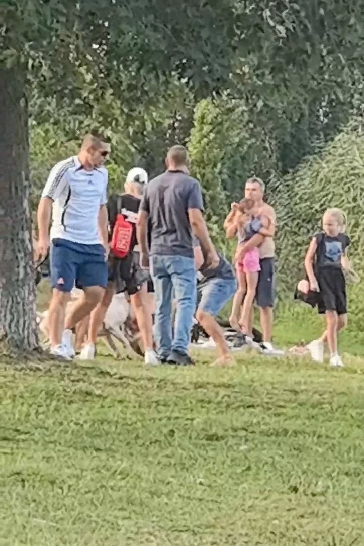 В Краснодаре на Солнечном острове аргентинский дог набросился на небольшую бездомную со...