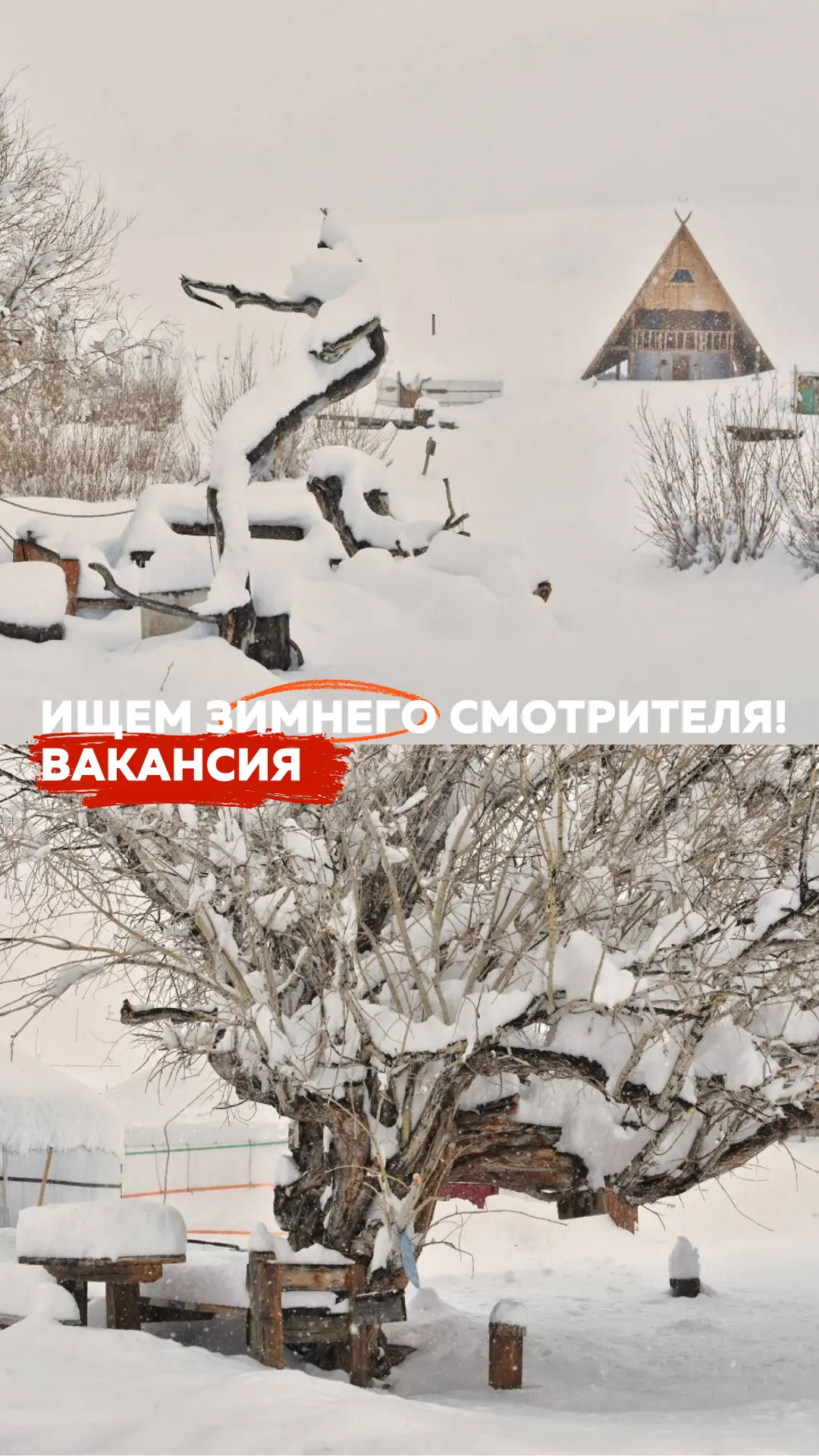 В Тыдтуярыке мы ищем сразу двух кандидатов на вакансии: