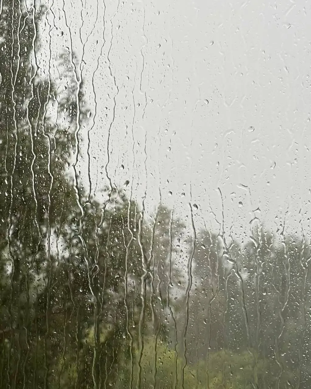 🌧 До начала августа воронежцам придётся потерпеть дождливую погоду.

Синоптики прогнозируют дожди с