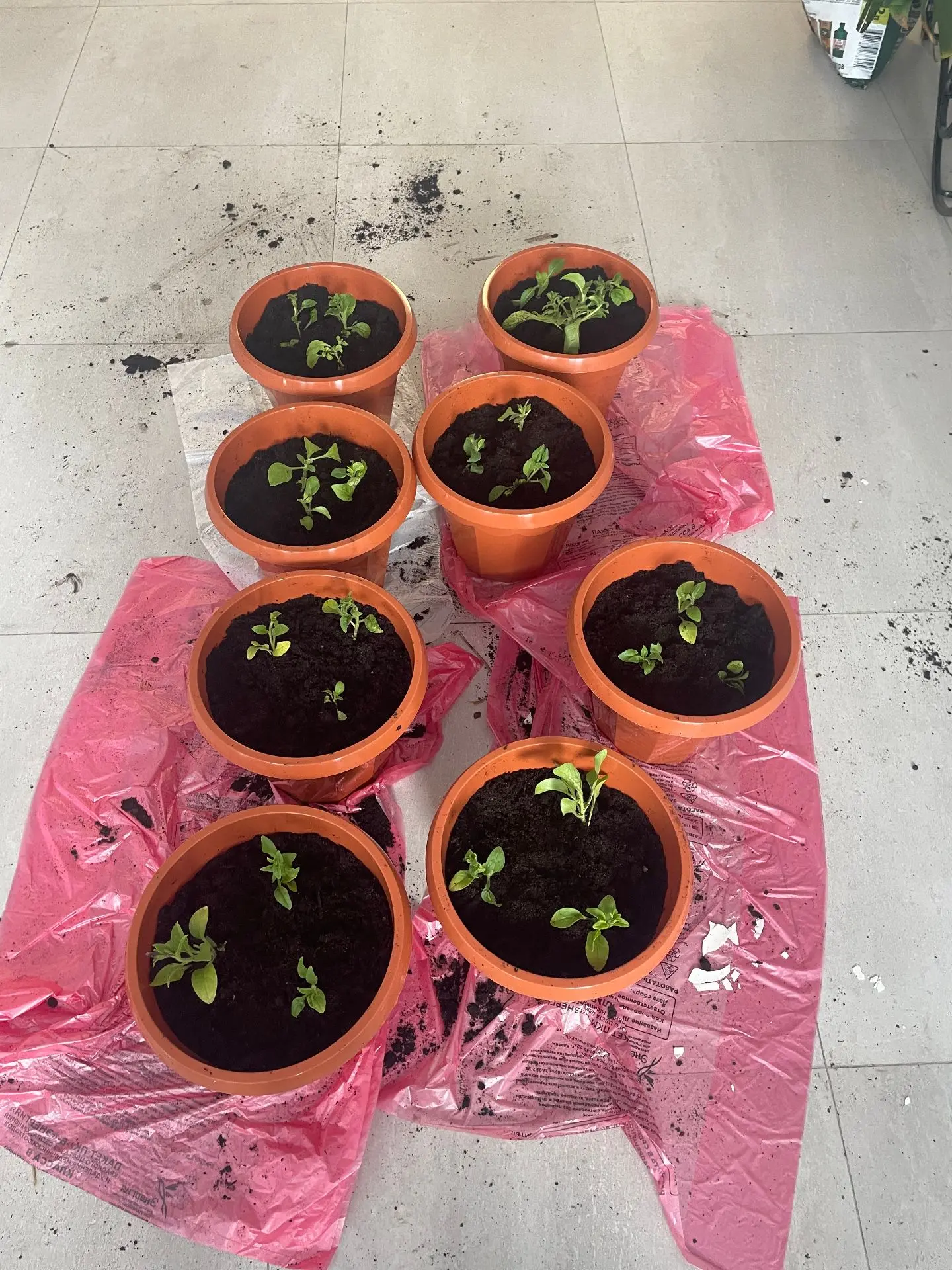 🌷 Солнечная погода вселяет надежду на скорое потепление, и совсем скоро территория нашего учреждени