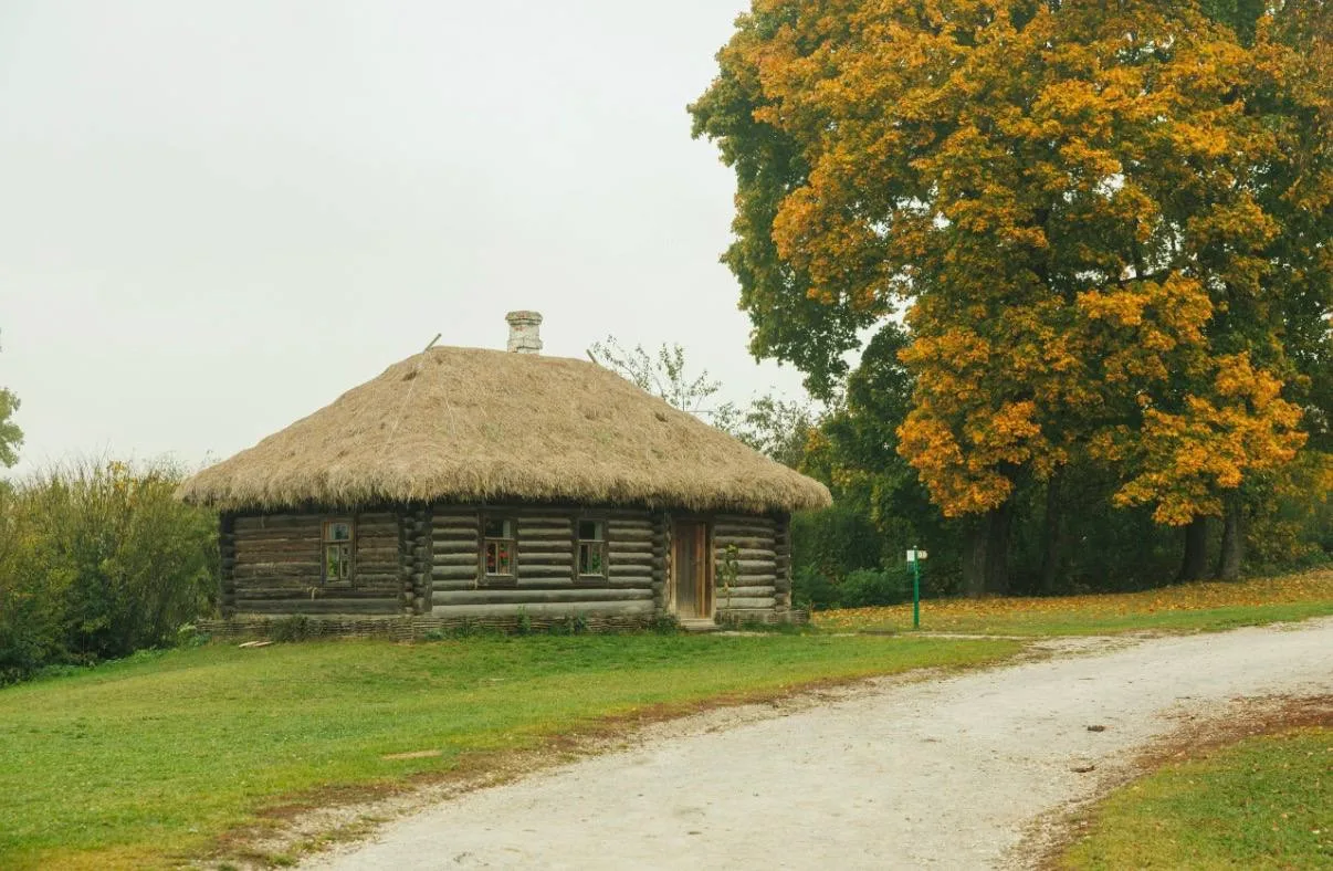 Осенняя зарисовка из музея-усадьбы «Ясная Поляна» 🍁