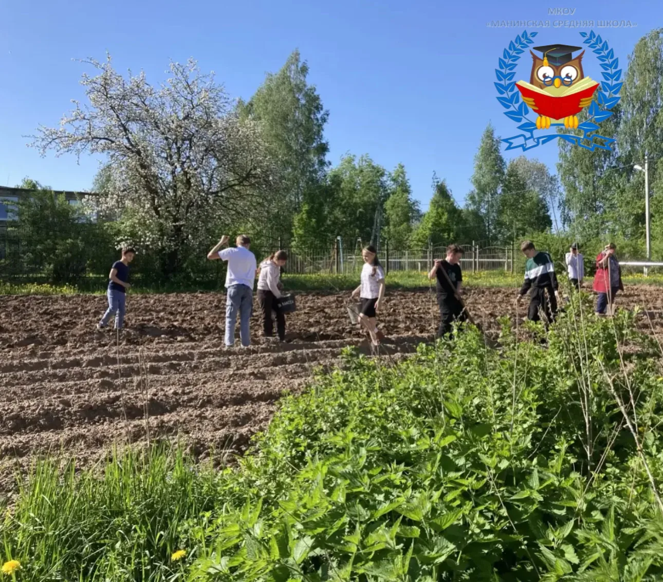 Трудовой десант "Солнышко" и педагоги МКОУ «Манинская средняя школа» заложили основу бу...