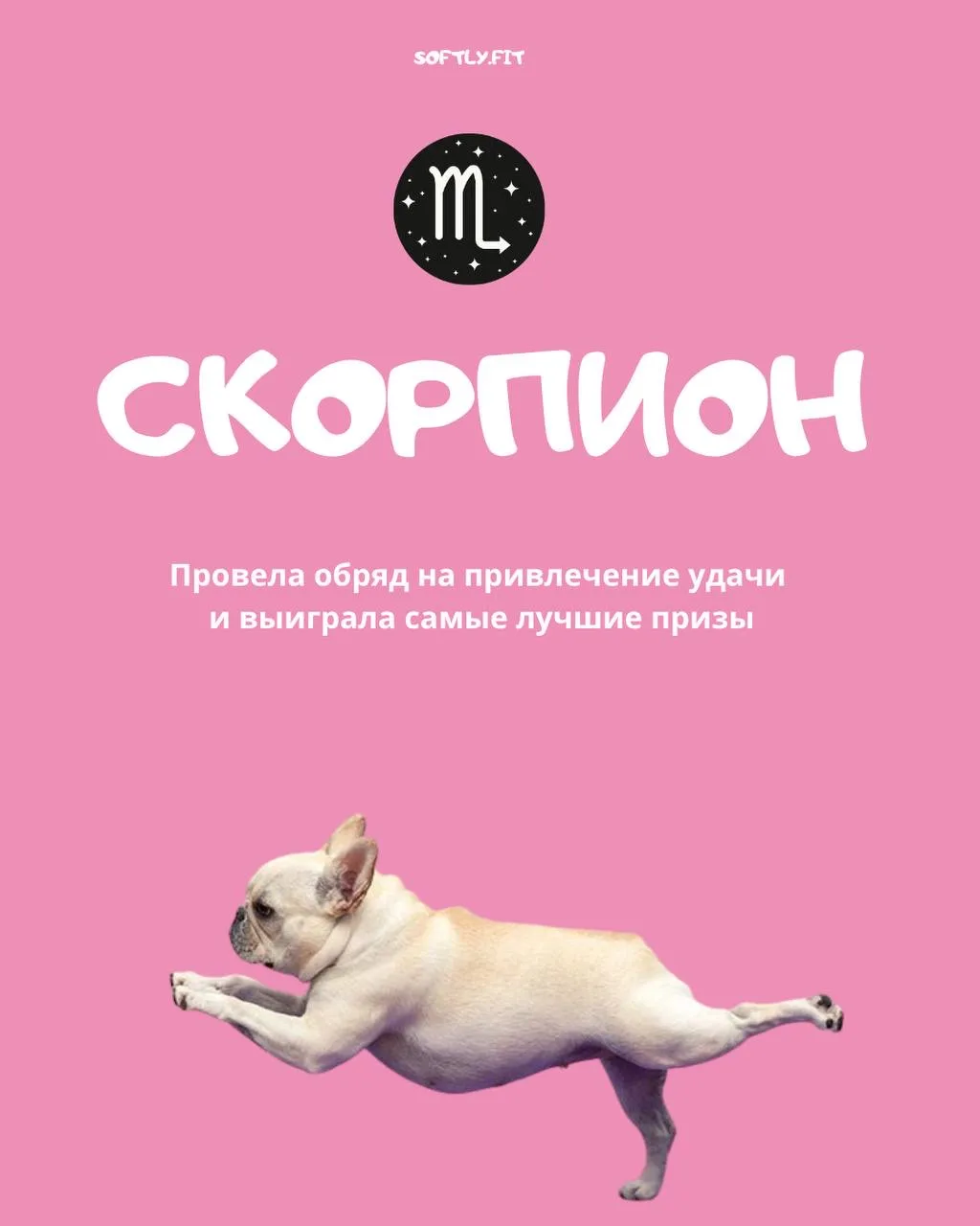 Никого не забыли 🩷☺️