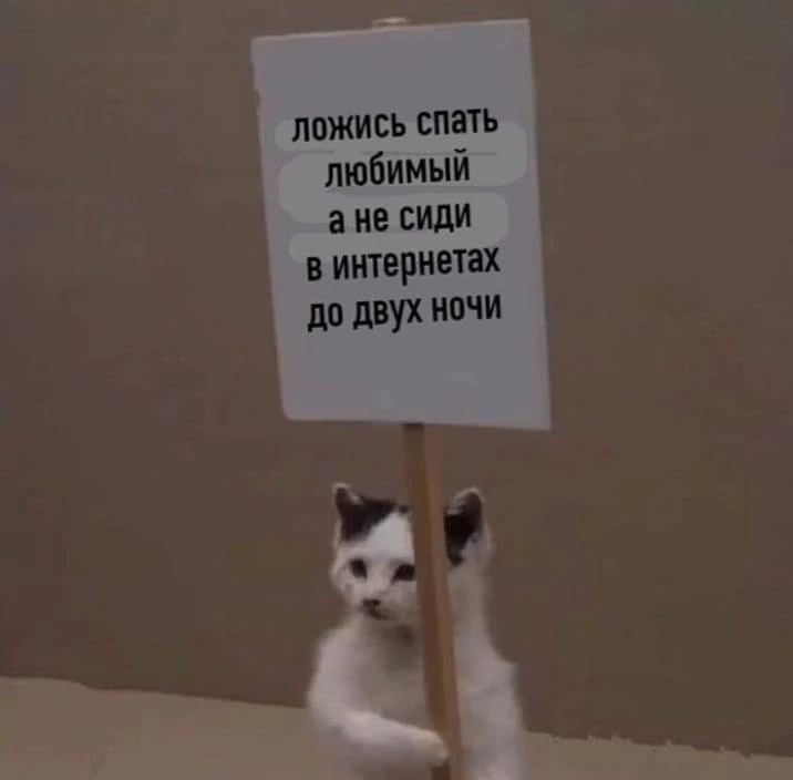Спатьки отправляемся 🫡
