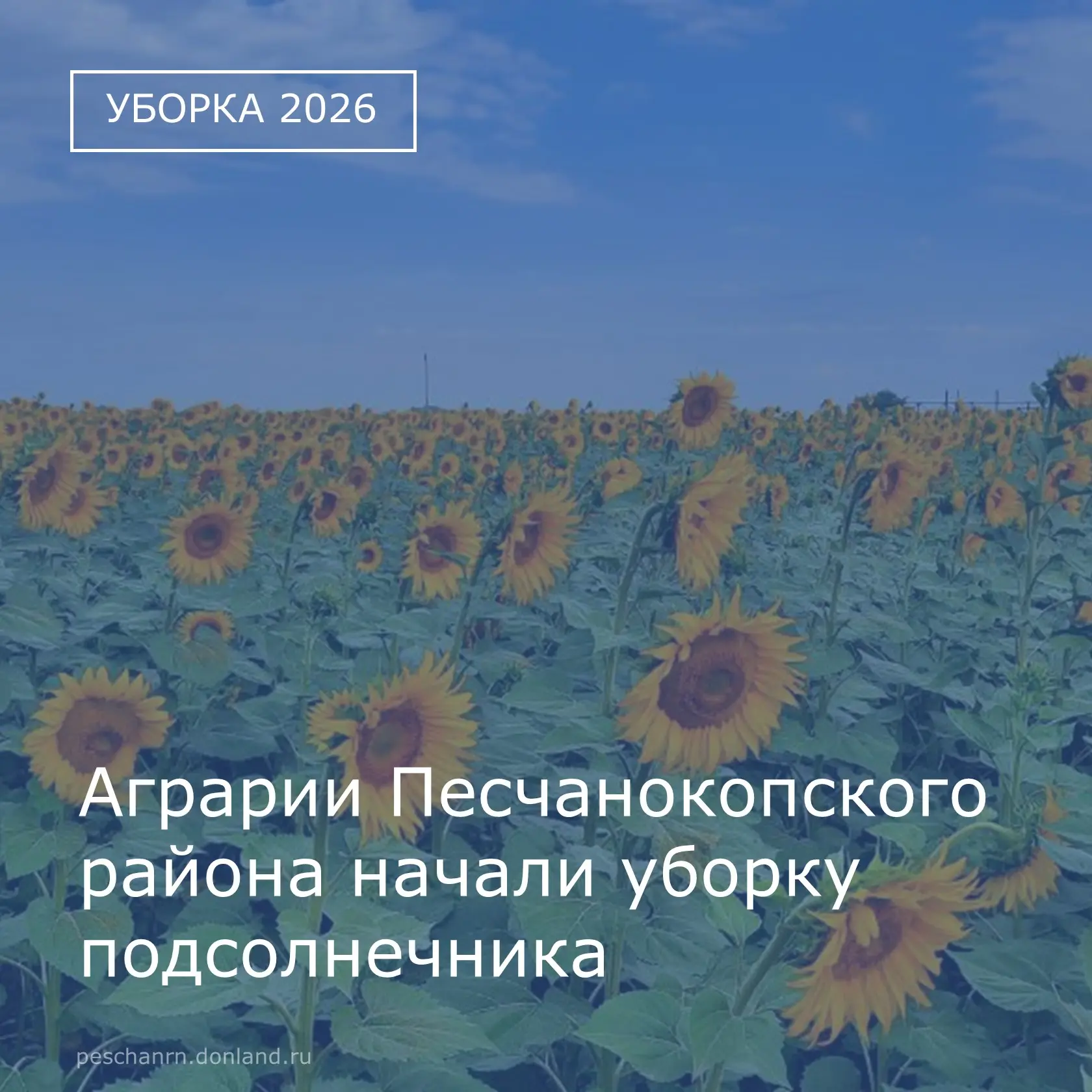 В Песчанокопском районе завершили уборку льна, собрав в общей сложности 11650,69 тонн. ...